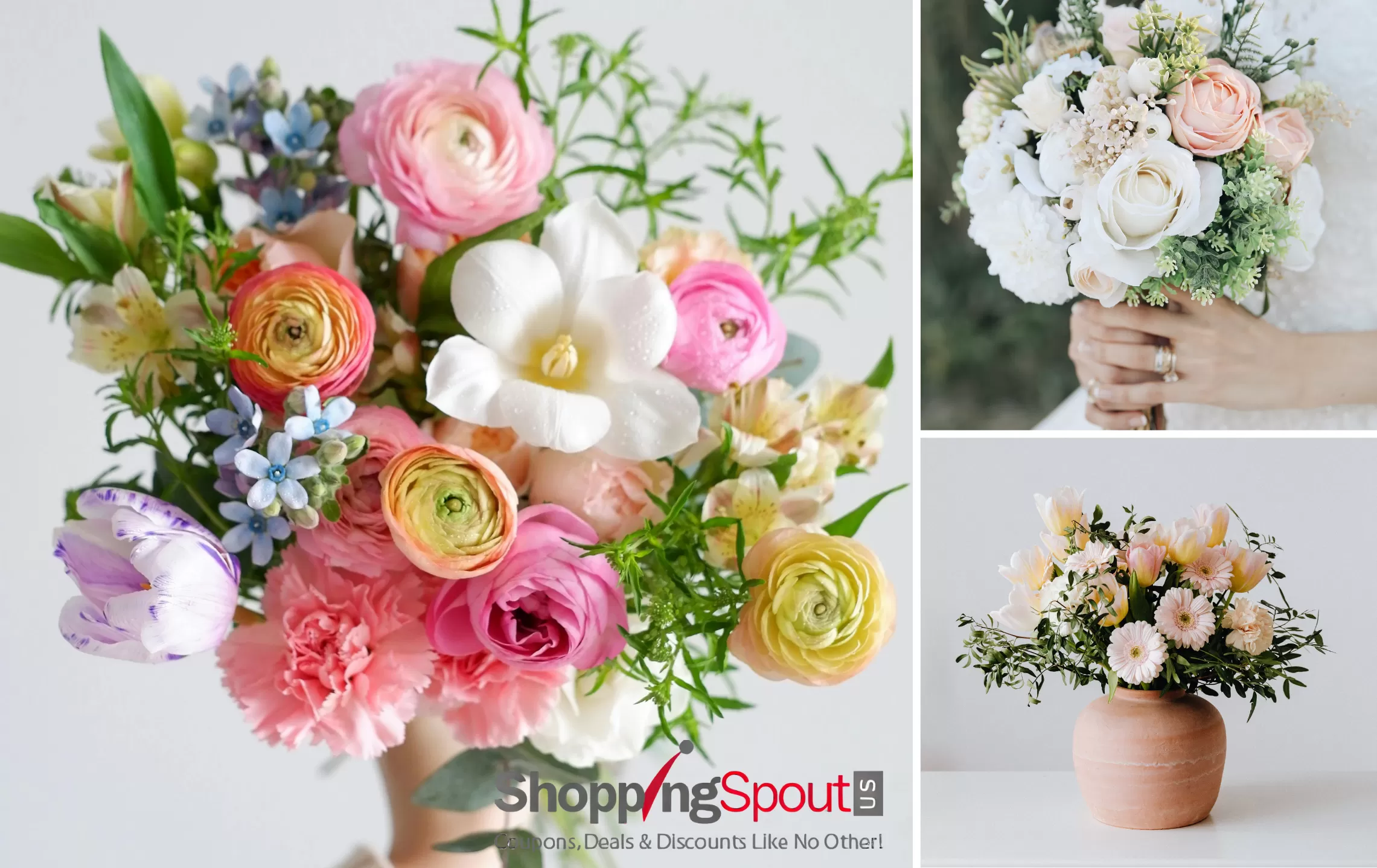1800Florals the Best Way to send Flowers